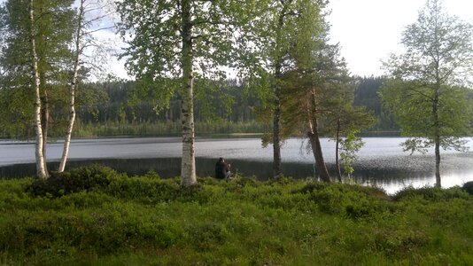 Nature umea sweden