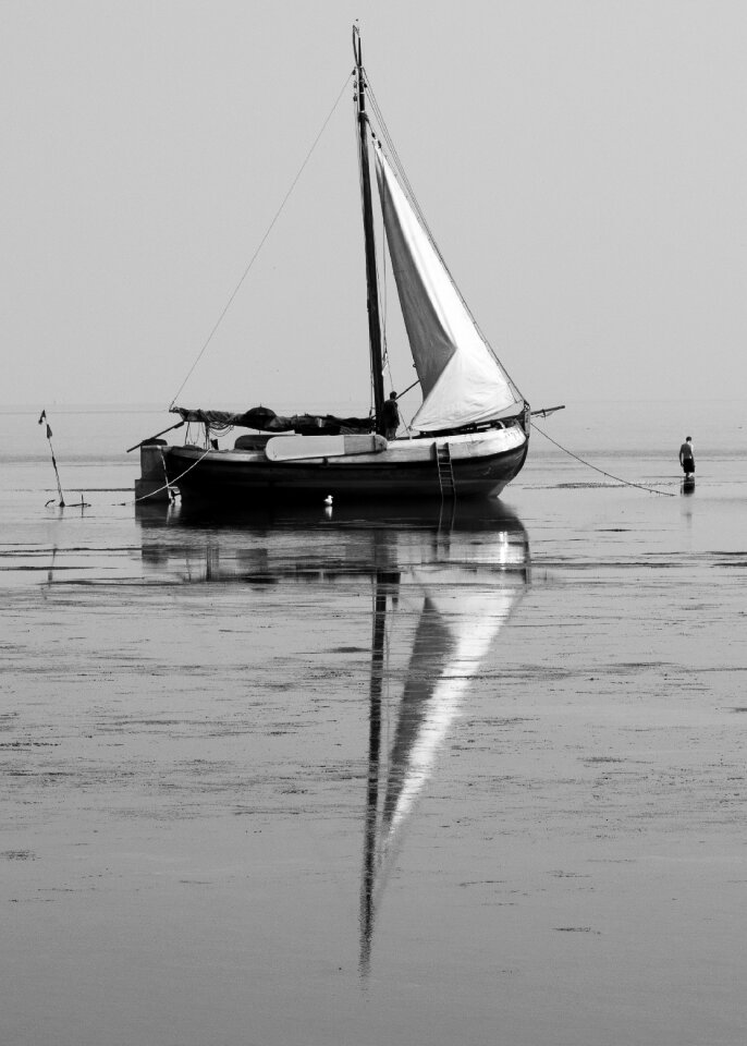 Black white calm gray calm