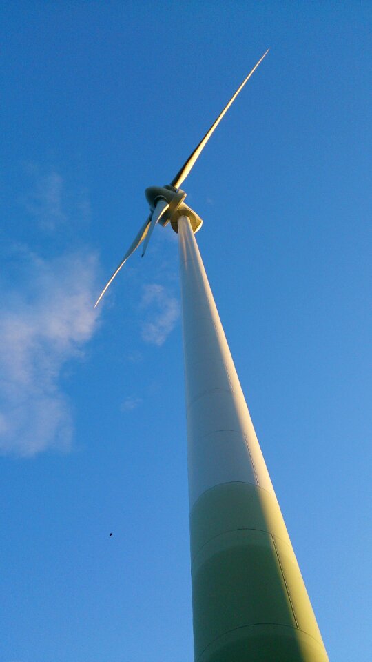 Renewable energy wind turbine forward