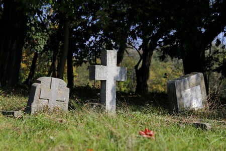 Graves crosses second world war