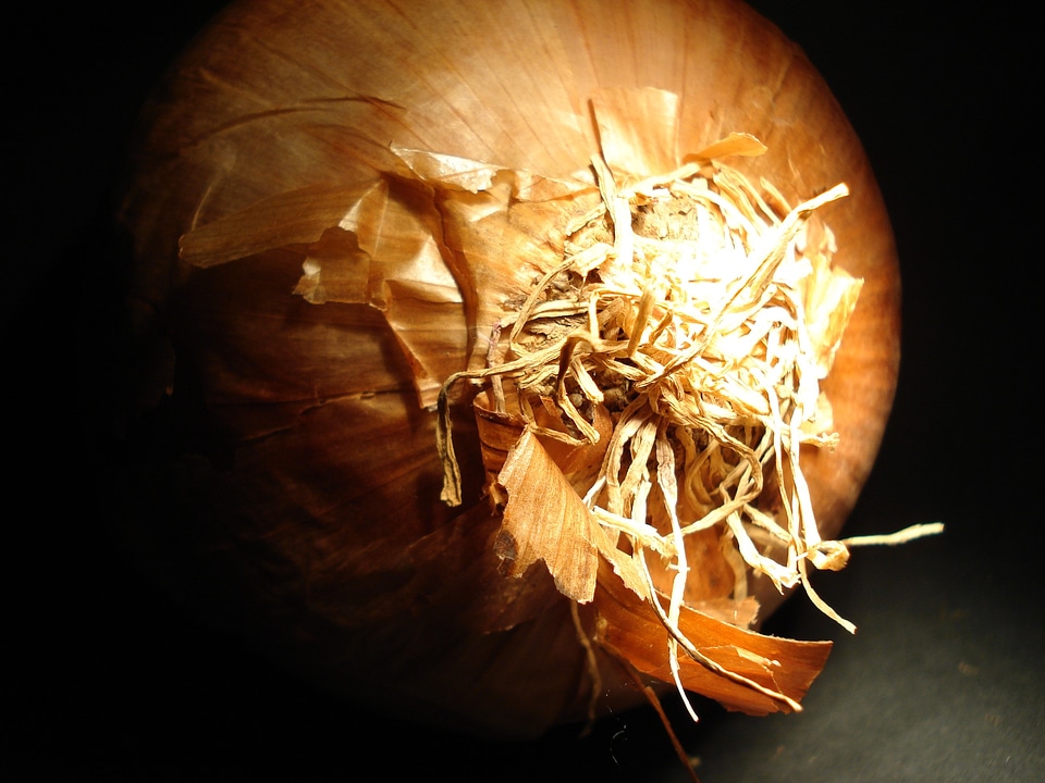 Onion vegetables cook