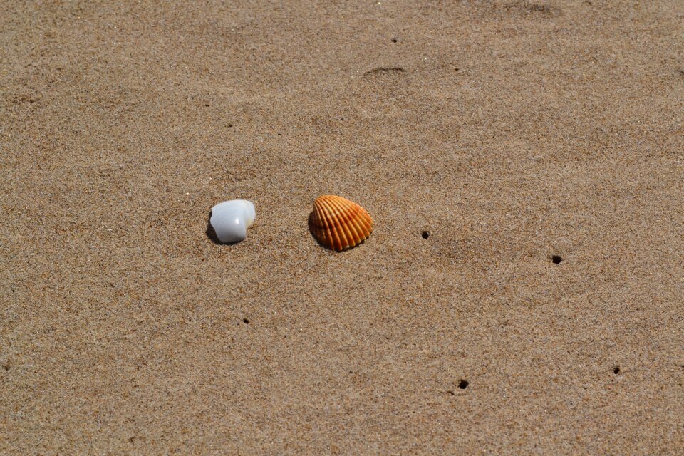Sand sea beach