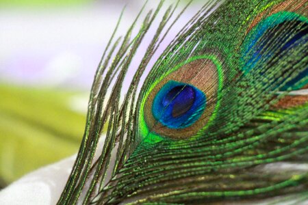 Nature pattern green