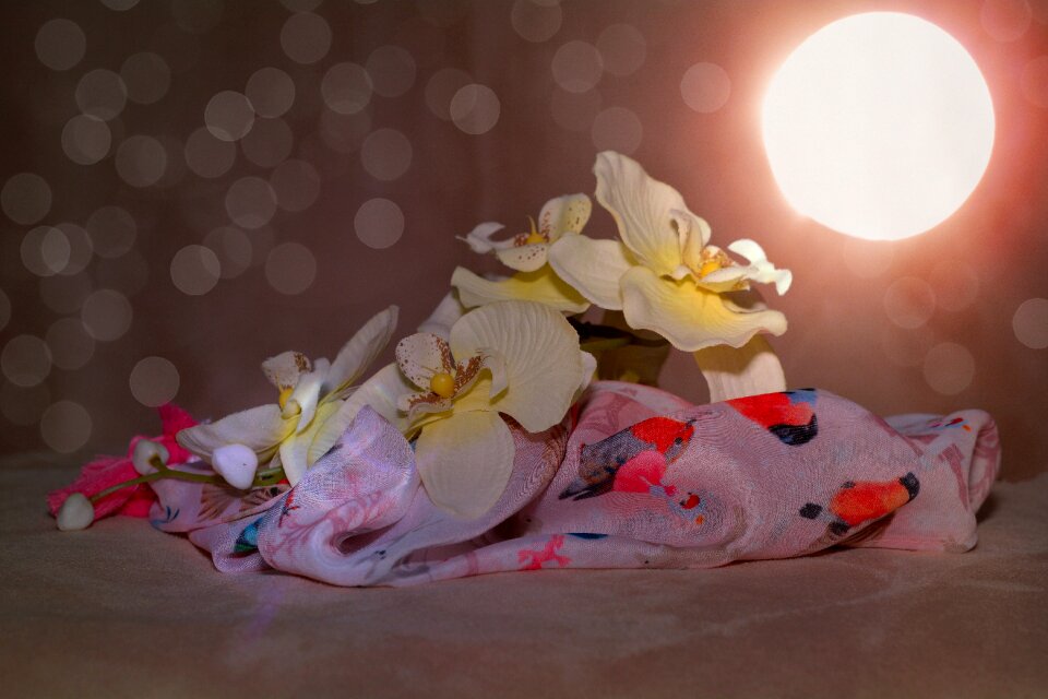 Flower bokeh lighting