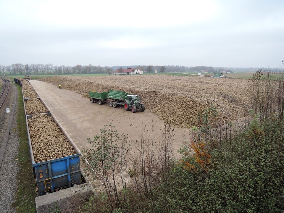 Wealth arable agriculture