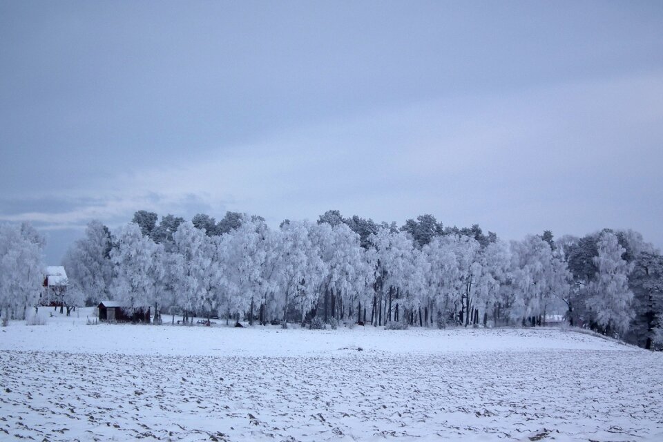 Landscapes sweden snow