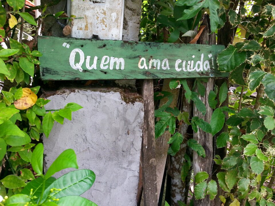 Phrases wisdom who loves cares