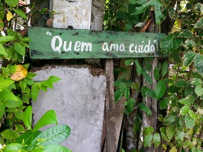 Phrases wisdom who loves cares