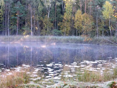 Autumn atmosphere morning