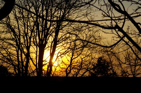 Sun sunrise autumn