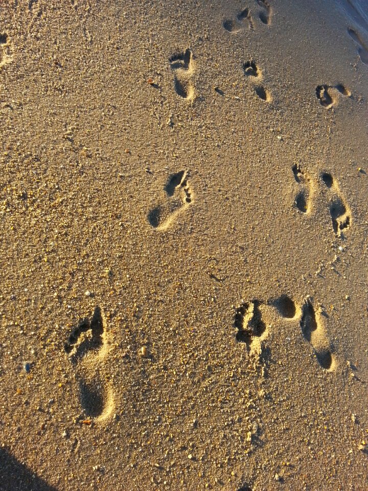 Footprints mar beach photo