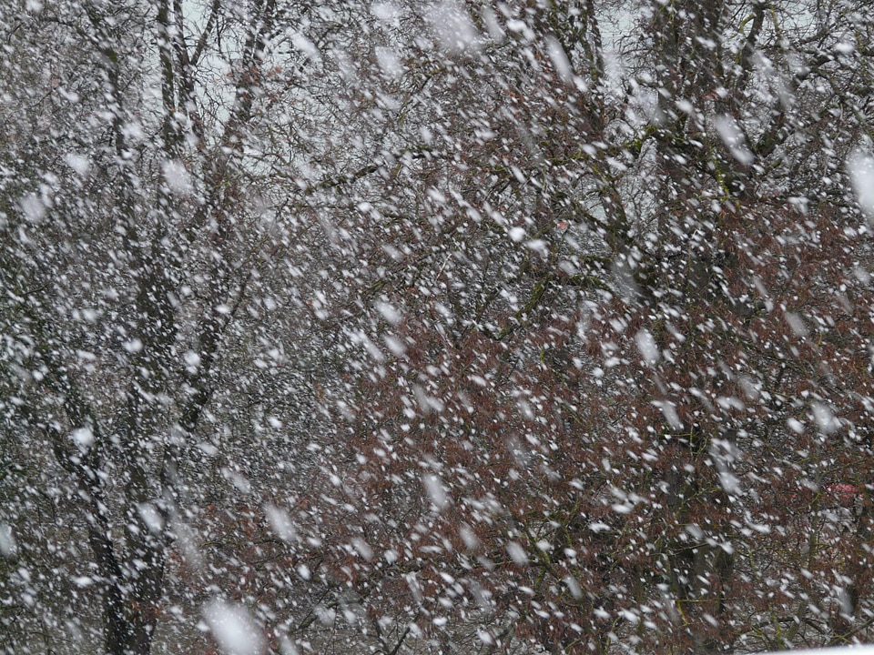 Blizzard winter flake