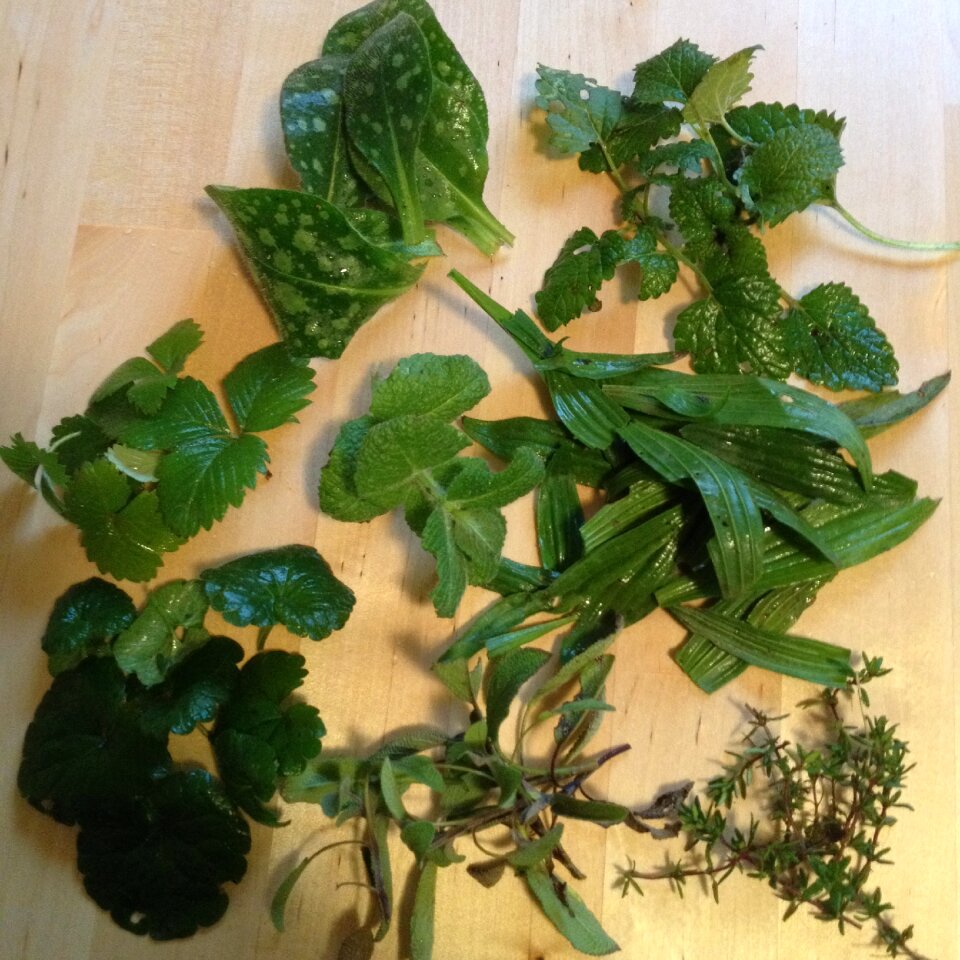 Herbs tee herbal tea