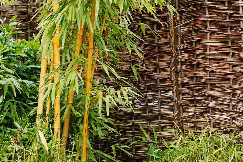 Branch garden green