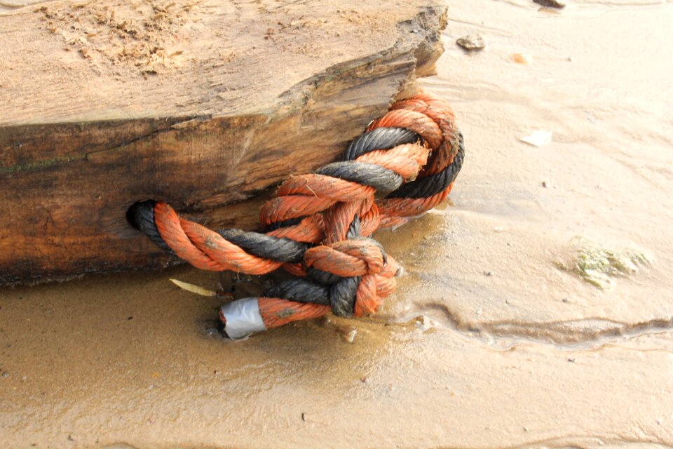 Washed ashore fundus relic