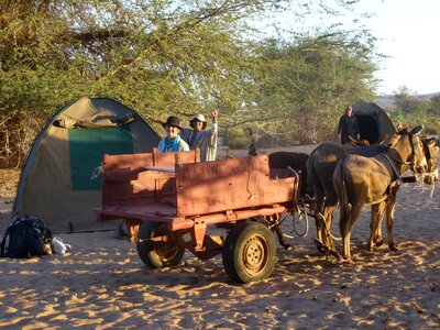 Landscape namibia travel