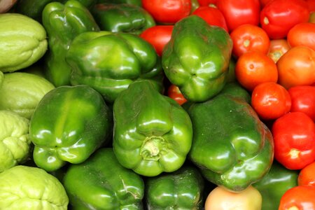 Chayote recife pernambuco