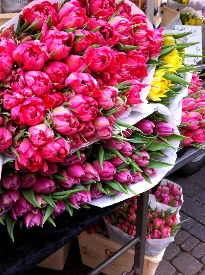 Amsterdam market