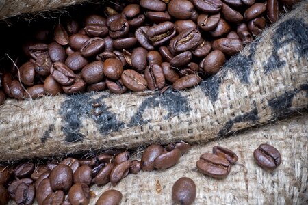 Brown coffee beans grains photo