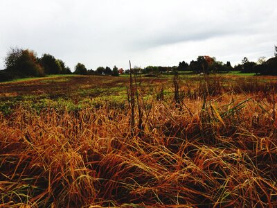 Landscape grey sky clouds