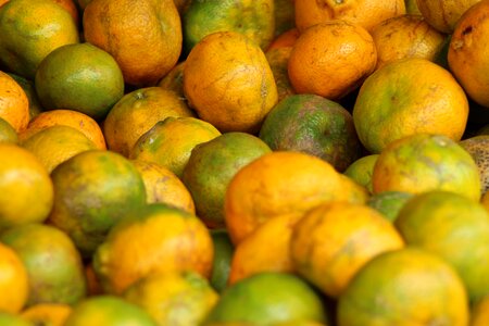 Fair farmer recife
