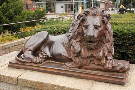 Stone lion landmark bronze lion photo