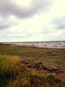 North sea wadden sea low tide photo