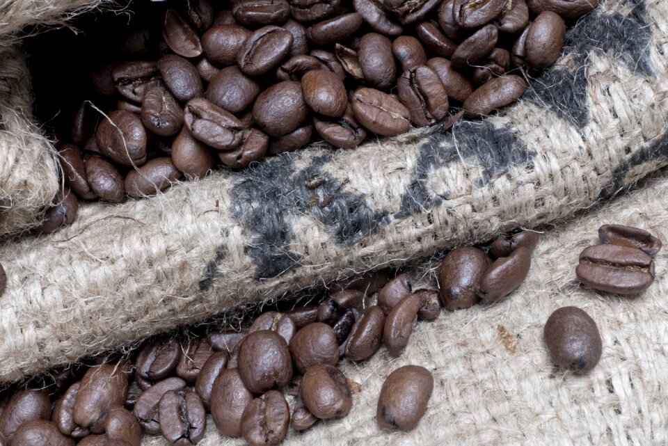 Brown coffee beans grains