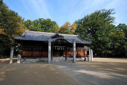 Shrine roof ichinomiya shrine photo