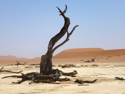 Namibia landscape travel