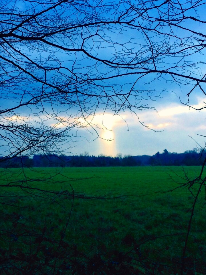Sunlight sunbeam rays