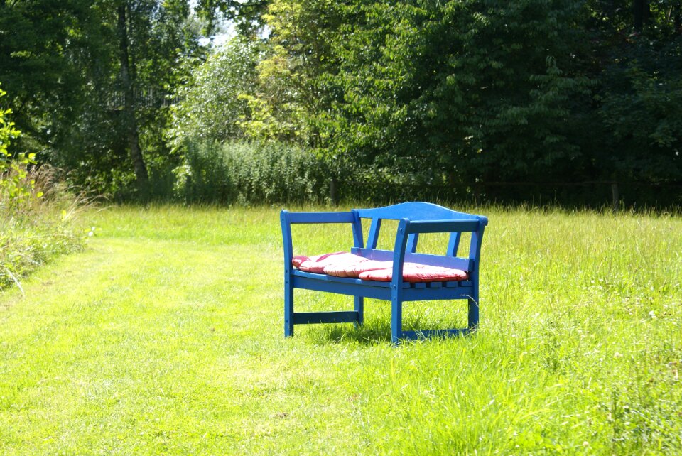 Trees park bench green