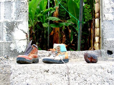 Shoe lost forget