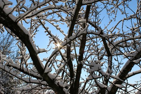 Light backlighting white photo