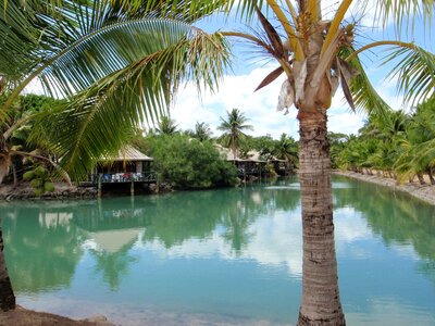 Whater tropical tranquil