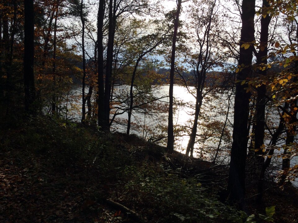 Backlighting autumn sun