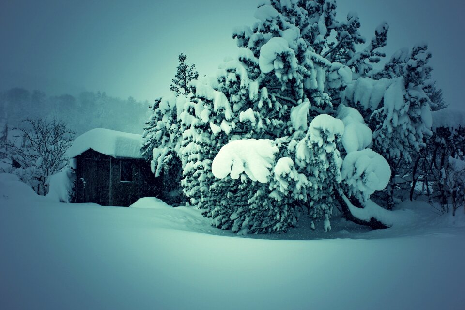 Winter snow switzerland