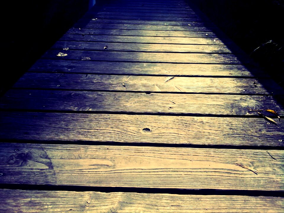 Wood bridge web