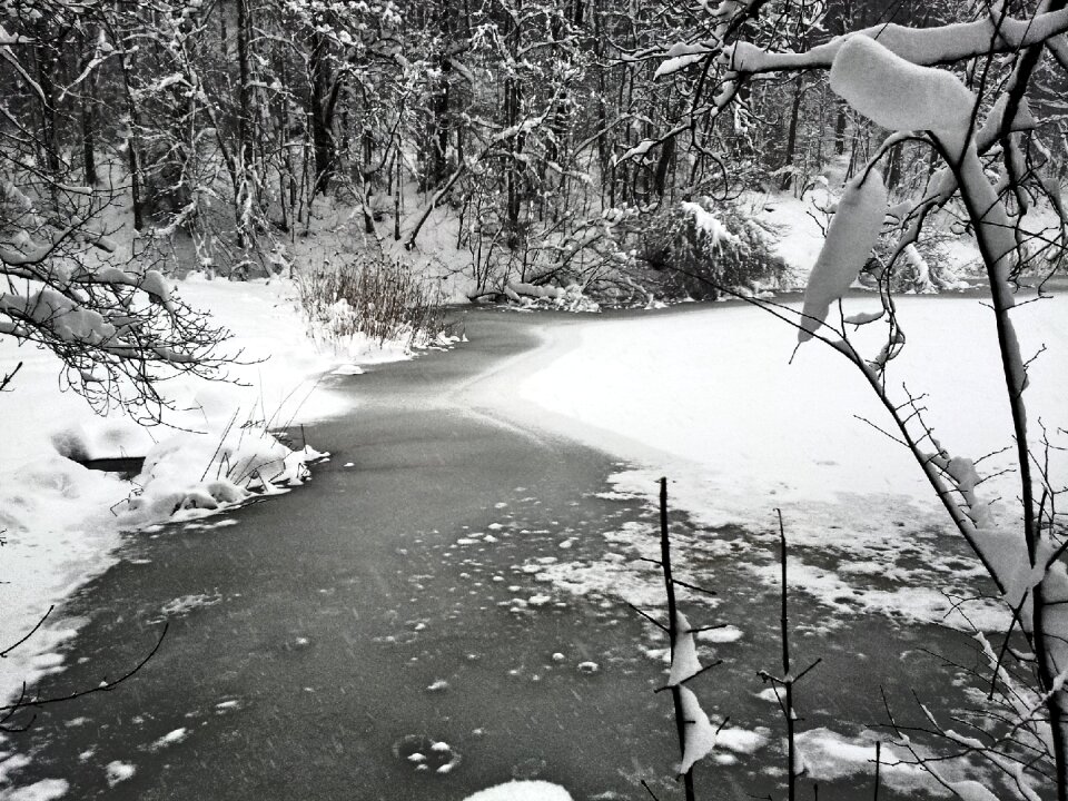 Winter frozen snow