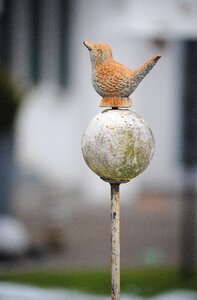 Decoration bird ball