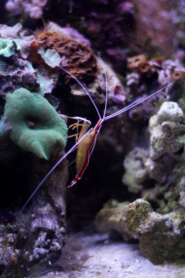 Sea aquarium water