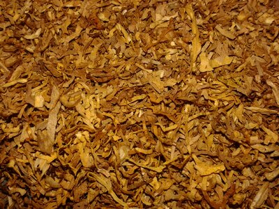 Cigarette cigar dry