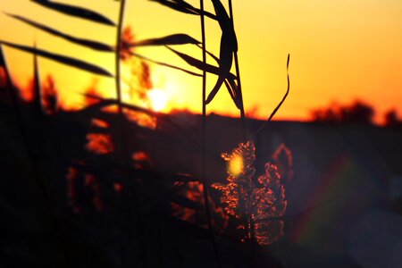 Landscape nature sun