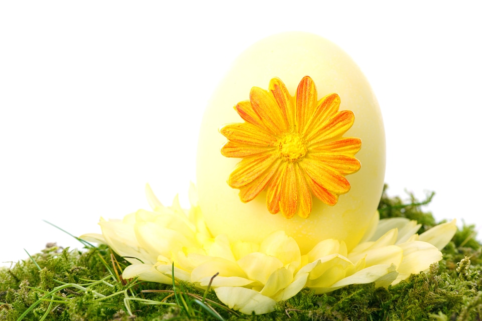 Decorative easter egg