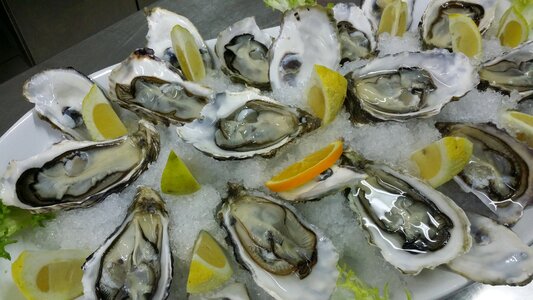 Oysters haute cuisine food