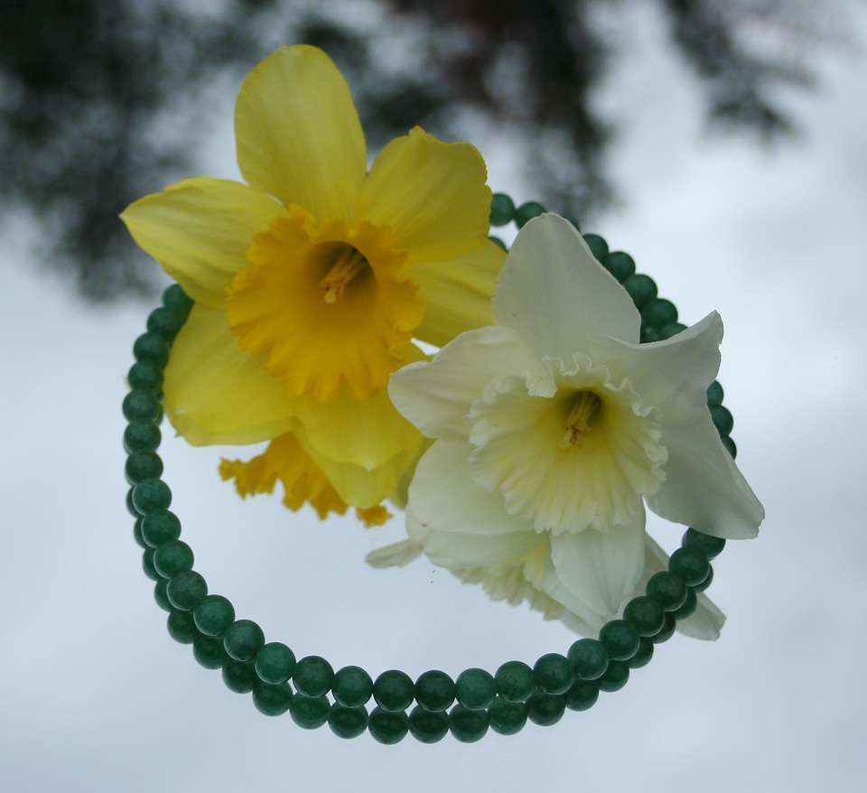 Jewelry fashion accessory