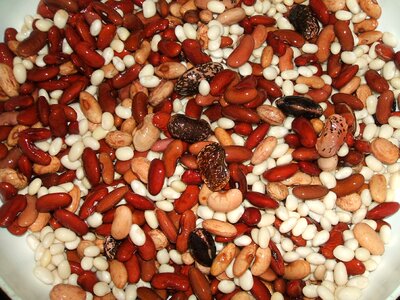 Beans food colors