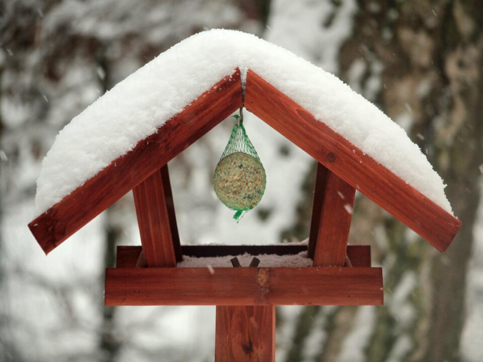 Depend feed bird seed
