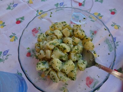 Salad potato food