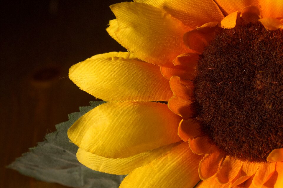Orange macro flower